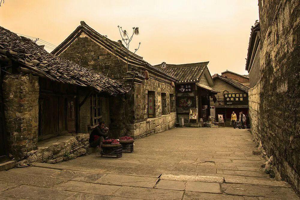 狗狗到家之前需要做什么准备工作？有什么需要注意的？游戏画面